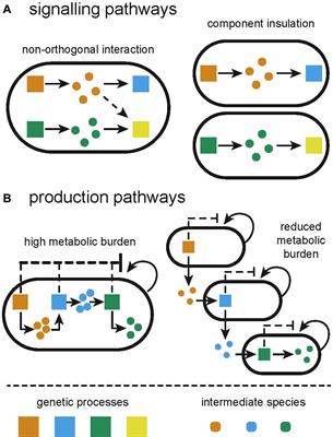 From Microbial Communities to Distributed Computing Systems